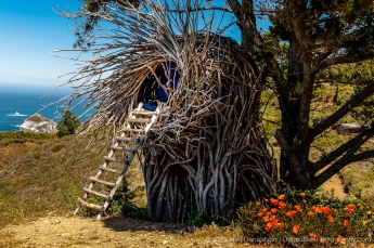 Nest Lodge