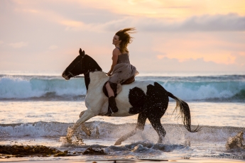 Horse and Girl