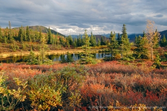 Denali Splendor