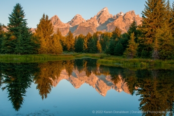 Schwabacher Landing Reflections