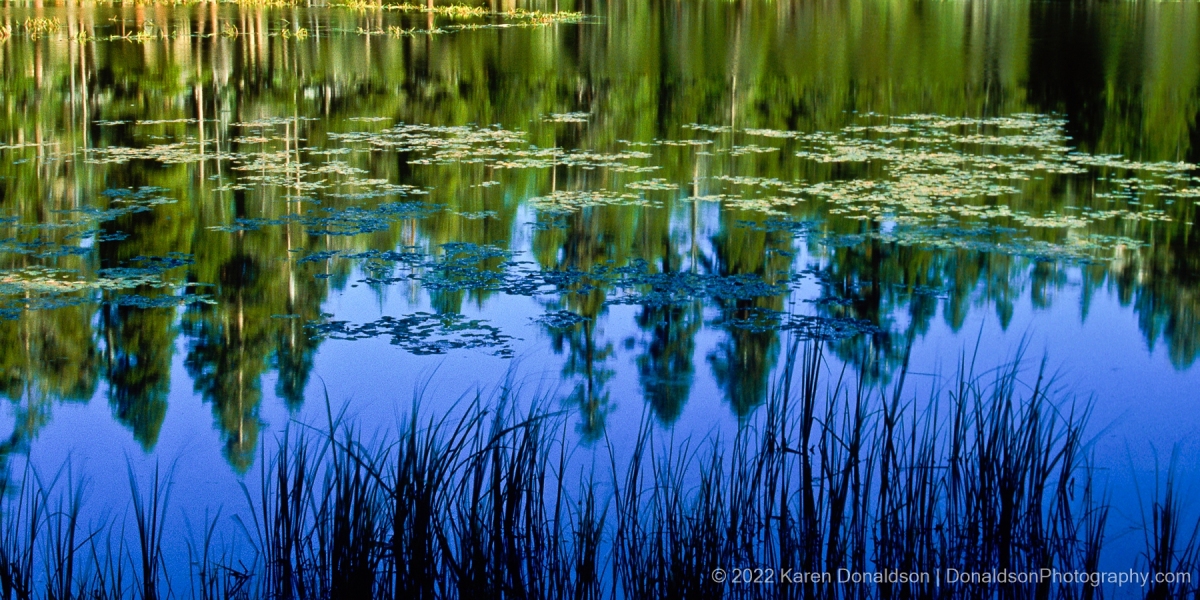 Siesta Lake Reflections