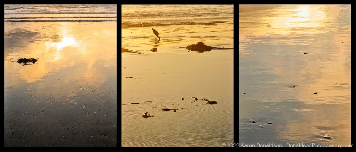 Beach Triptych