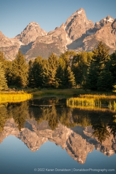 Schwabacher Landing Reflections