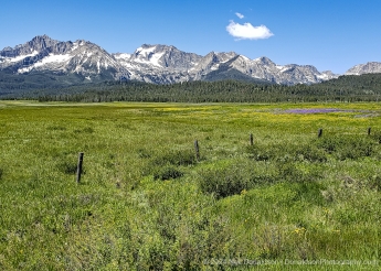 01-Sawtooth-Range-Meadow