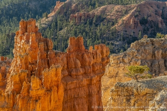 04-Bryce-Canyon