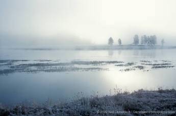 Foggy Yellowstone Morning