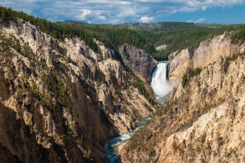 Lower Yellowstone Falls