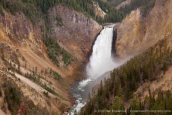 Lower Yellowstone Falls