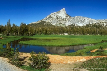 Cathedral Peak and Meadow