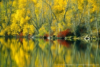 Autumn Reflection