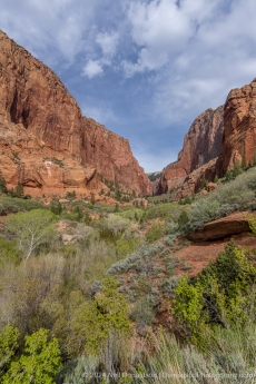 23-Zion-National-Park