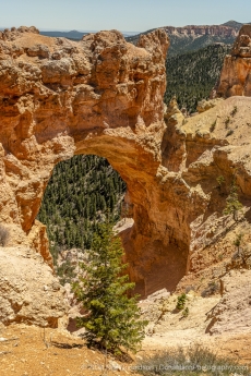 24-Bryce-Canyon