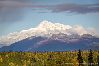 Mt Denali