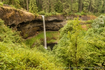 Silver Falls