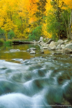 Bishop Creek Fall Color