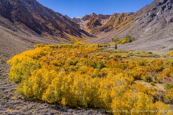 Eastern Sierra Autumn