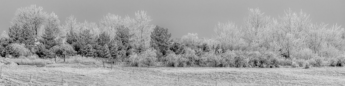 Idaho Frosty Morning